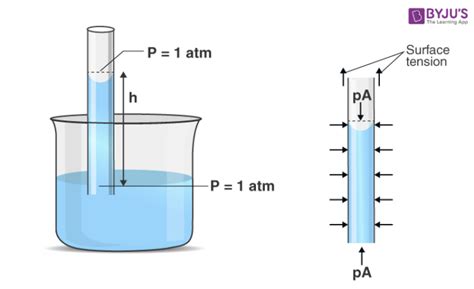 Capillary Action - Meaning, Definition, Examples, Adhesion, Cohesion