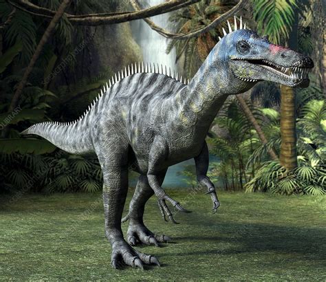 Suchomimus dinosaur, artwork - Stock Image - C001/3806 - Science Photo Library