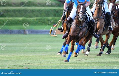 Selective Focus the Horse Polo Players Stock Image - Image of animal, club: 135348087