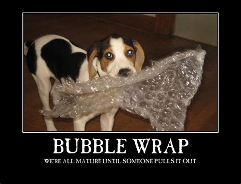 Brace yourself: Monday is Bubble Wrap Day - Gallery | eBaum's World