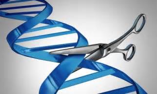 CRISPR gene editing could treat sickle cell disease