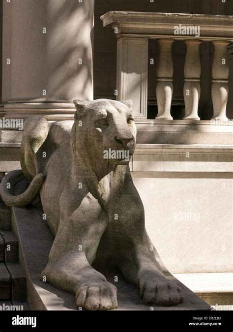 Lioness Statue, The Pierpont Morgan Library & Museum, 36th Street, NYC ...