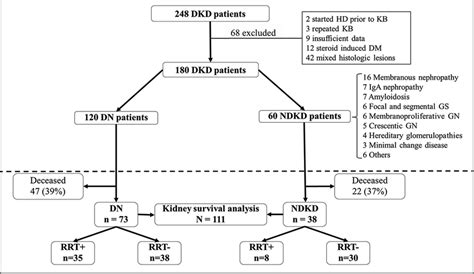 Study flowchart. DKD diabetic kidney disease, DM diabetes mellitus, DN ...