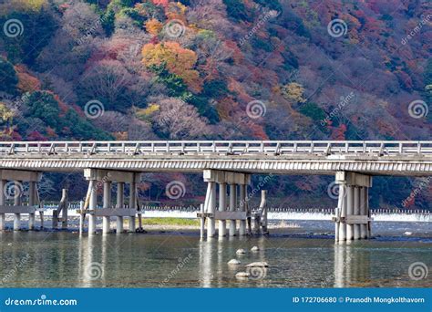 Arashiyama Wooden Bridge Cross Over River and Autumn Season Stock Photo ...