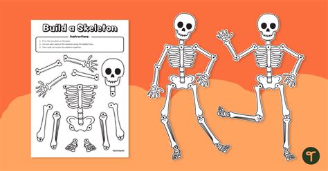 Build a Skeleton Template | Teach Starter