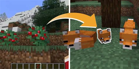 Minecraft: How to Breed Foxes