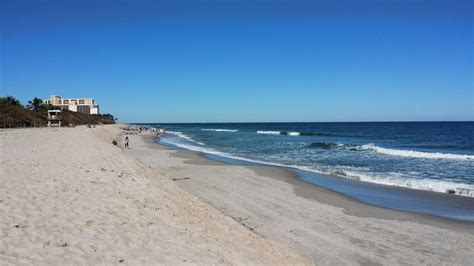 Top 5 Beaches to Find Fossil Shark Teeth - World's Exotic Beaches