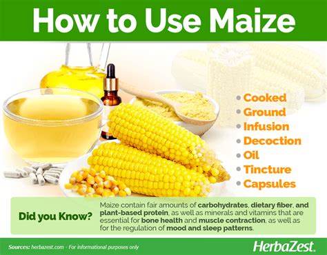 Maize | HerbaZest