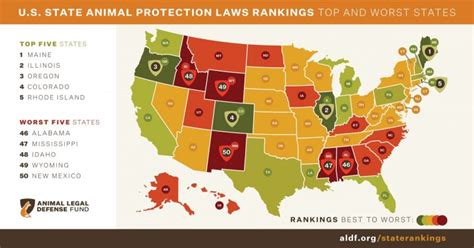 Mississippi Ranked Fourth Worst State for Animal Protection Laws ...