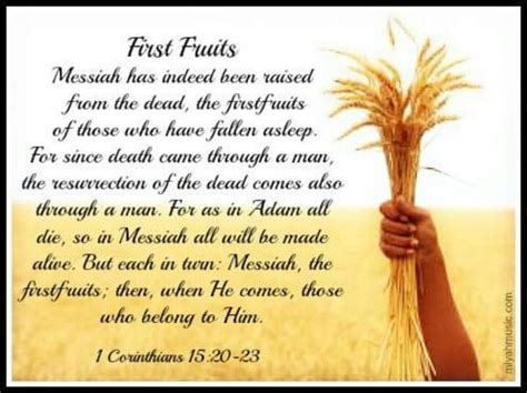 First Fruits ~ 1 Corinthians 15:20-23 ~ We shall all be made alive! | Feasts of the lord ...