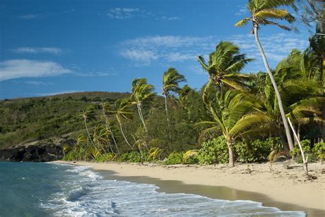 Free Stock photo of Sandy tropical beach | Photoeverywhere