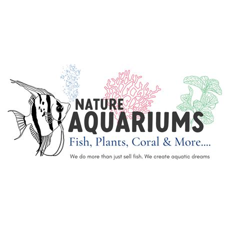 Limnophila Aromatica Aquatic Farmer Tissue Culture – Nature Aquariums USA