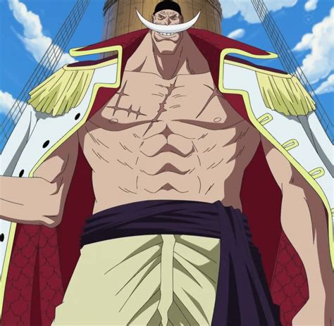 Edward Newgate - One Piece Encyclopedia - Wikia