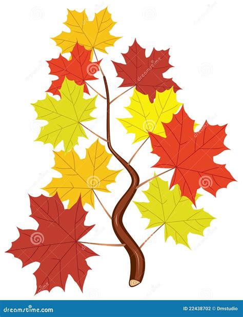 Vector Branch with Fall Maple Leaves Stock Vector - Illustration of tree, orange: 22438702