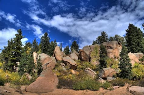 Premium Photo | Colorado national forest