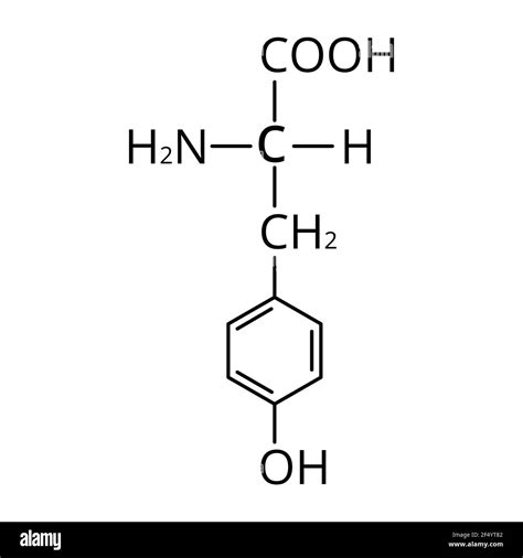 The amino acid Tyrosine. Chemical molecular formula of Tyrosine amino ...