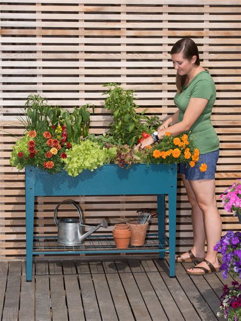 Demeter Corrugated Metal Elevated Raised Bed | Gardeners.com | Raised garden beds, Elevated ...