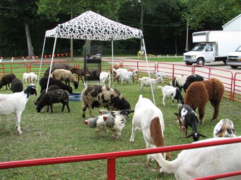 Animal Petting Farm Near Me : Close Encounters 7 Petting Farms Zoos ...