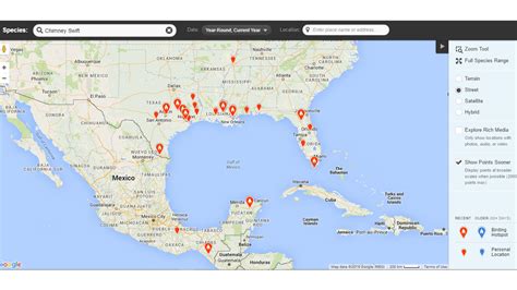 Swift migration update – Manitoba Chimney Swift Initiative