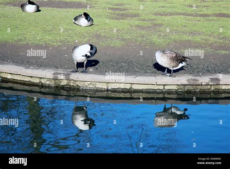 Buxton Pavilion Gardens Stock Photo - Alamy