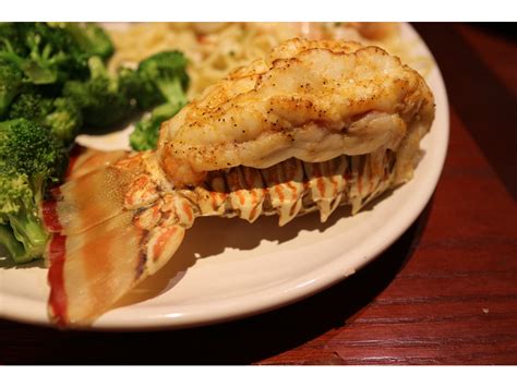 Red Lobster – Lobsterfest – Elsie Hui