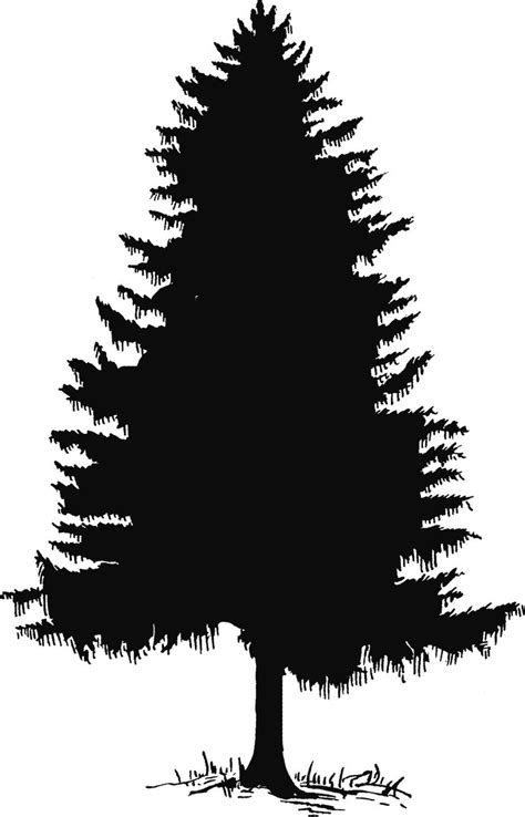 Pine tree tree silhouette and clip art on 2 - Cliparting.com