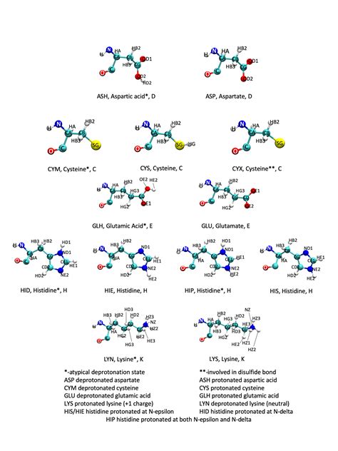 Addressing Multiple Protonation States | Computational Chemistry Resources