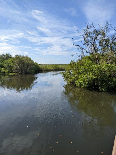 2023 Best Walking Trails in Robinson Preserve | AllTrails