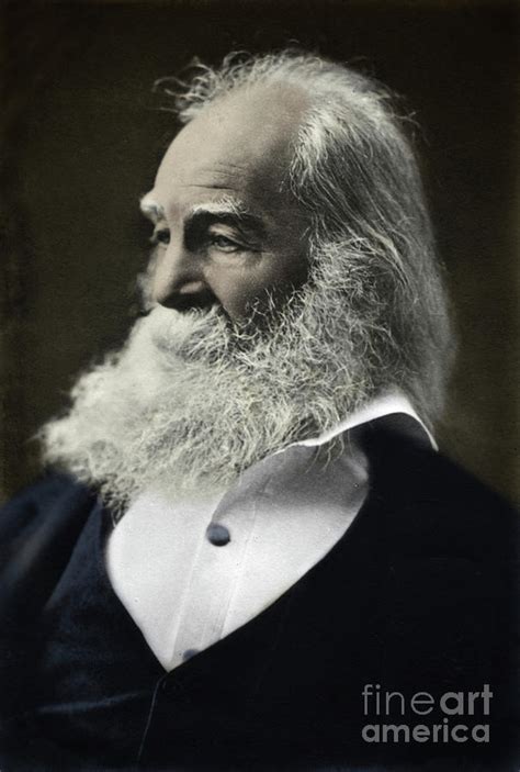 Walt Whitman Portrait Photograph by Unknown - Fine Art America