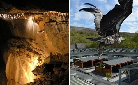 The Ailwee Caves in Clare: Our 2025 Guide