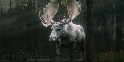 Red Dead Redemption 2 Legendary Moose Dies In Unexpected Way