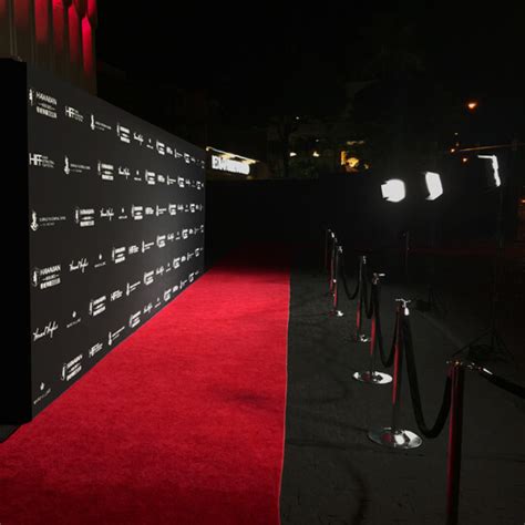 Hollywood Red Carpet 3' x 6' For Step Repeat display/Backdrop Floor ...