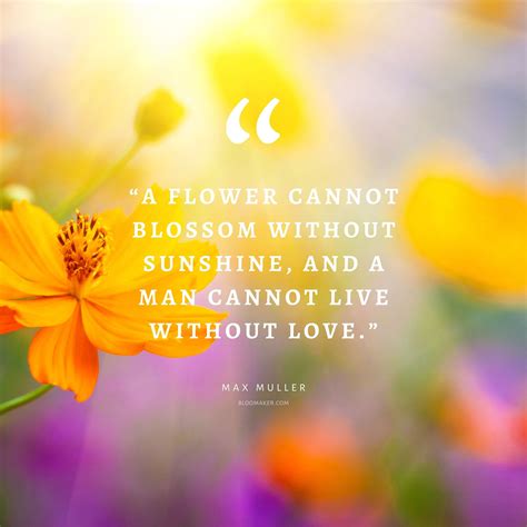 Motivational Quotes About Flowers And Growth : Beautiful Flower And Spring Quotes To Celebrate ...