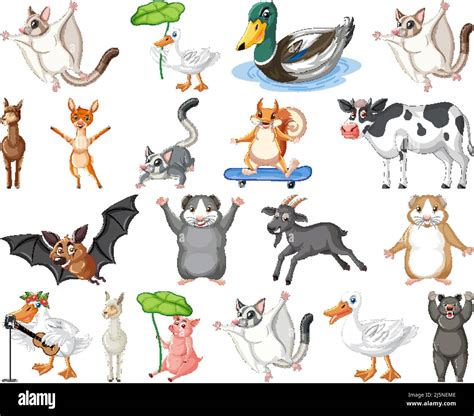 Conjunto de diferentes tipos de animales ilustración Imagen Vector de ...