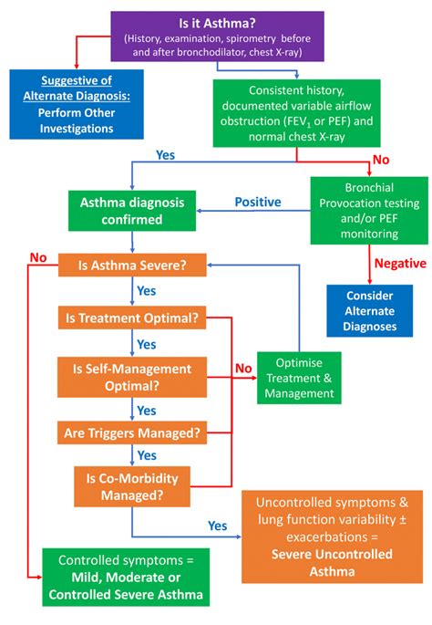 Severe Asthma Diagnosis and Assessment | Severe Asthma Toolkit