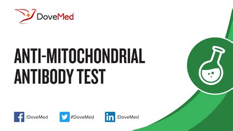 Anti-Mitochondrial Antibody (AMA) Test