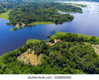 Aerial View Amazon Rainforest Brazil Incredible Stock Photo 2204850445 ...