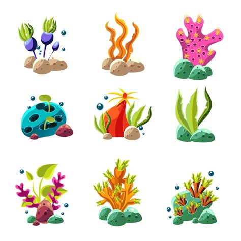 different types of seaweed and corals