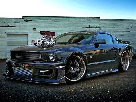 - Shelby Mustang GT 500 | Custom & Modified Cars