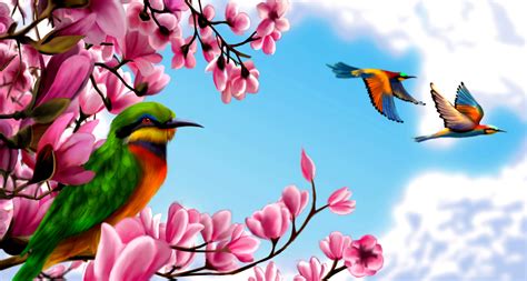 Bird Of Paradise Wallpapers - Wallpaper Cave