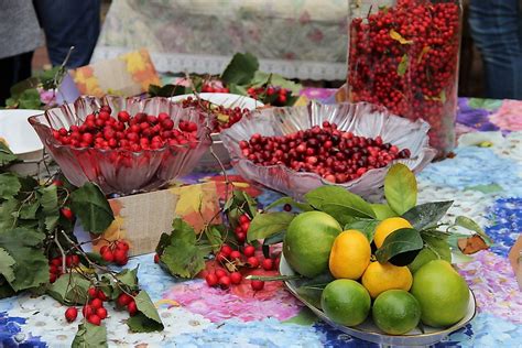 Where Are Cranberries Grown? - WorldAtlas