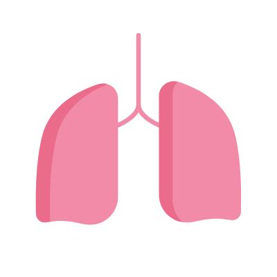 Lungs - Flat - Wired - Lordicon