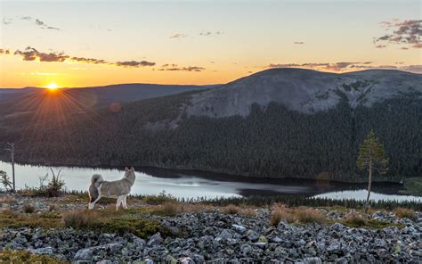 Midnight Sun - Your Guide to Nightless Night | Visit Finnish Lapland