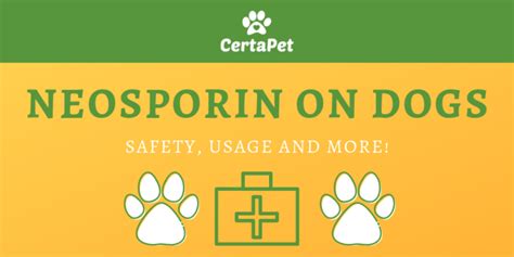 Using Neosporin on Dogs: Safety, Usage and More! | CertaPet