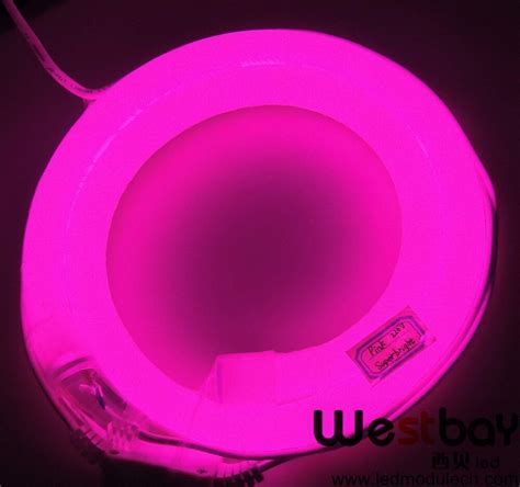 PINK Mini led neon for DIY lighting solution,signage lights,popular at Switzerland,Russia ...