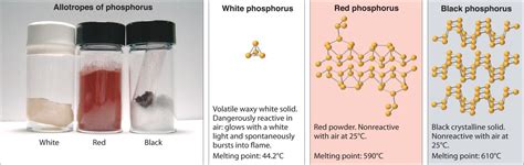 Allotropes Of Phosphorus