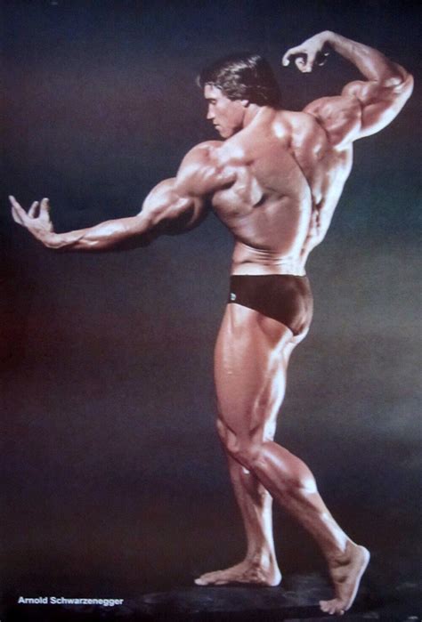 Arnold Schwarzenegger Poster Double Biceps Famous Pose | ubicaciondepersonas.cdmx.gob.mx