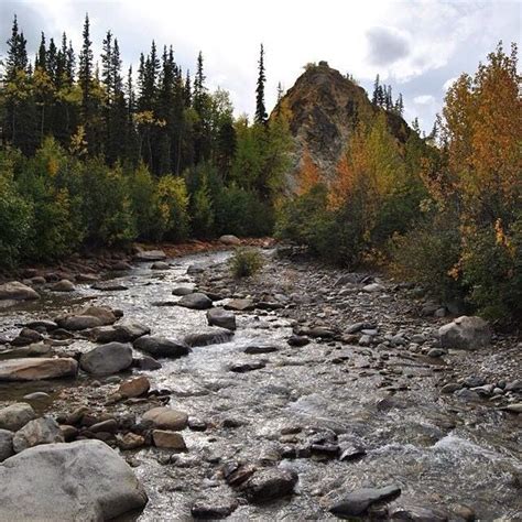 Hiking in Healy Alaska | Fairbanks alaska, Alaska, Healy alaska