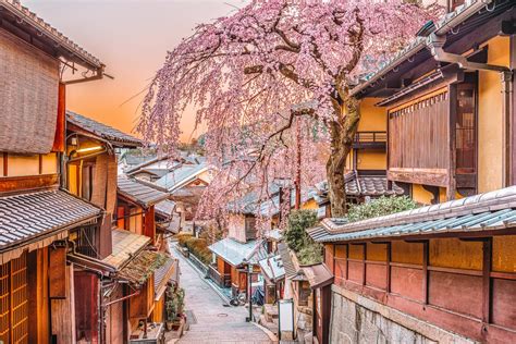 9 Cool Things To Do In Japan | Away and Far