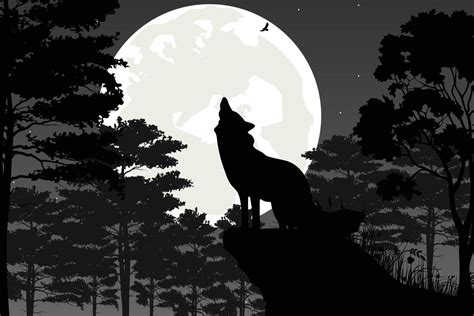 cute wolf and moon silhouette landscape 11481109 Vector Art at Vecteezy